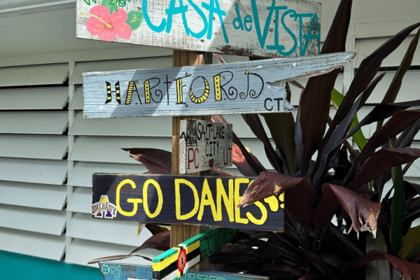 directional signs 2024