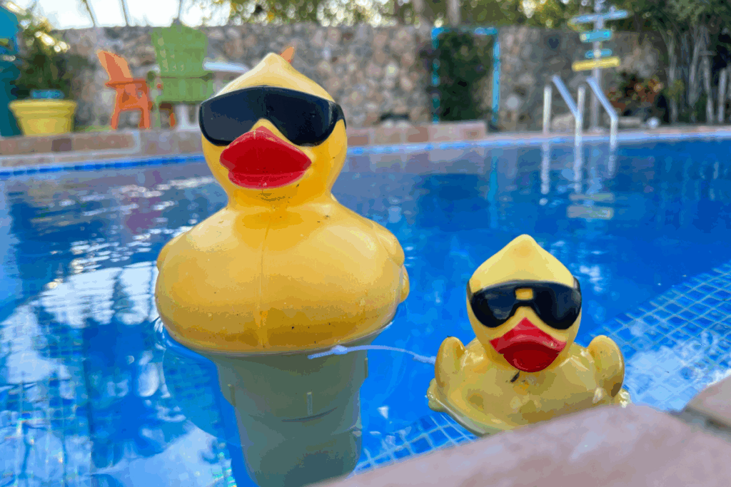 Pool Rubber Duck Buddies
