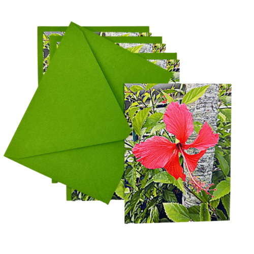 Casa de Vista Hibiscus Notcards-Set of 4