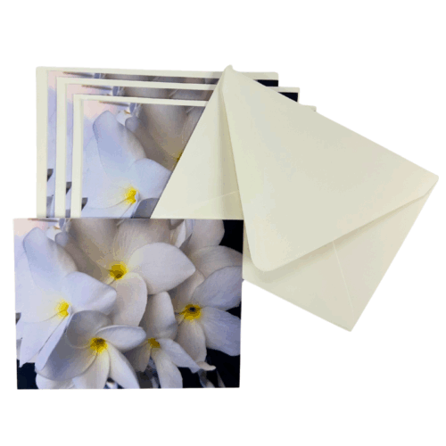 St Croix Pure White Beauties Notecards-Set of 4
