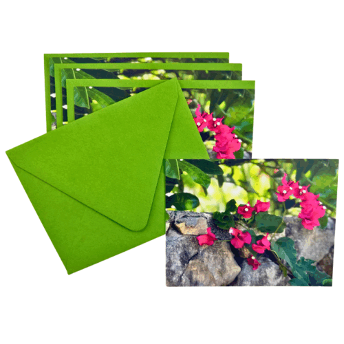 Stonewall Bougainvillea Notecards-Set of 4