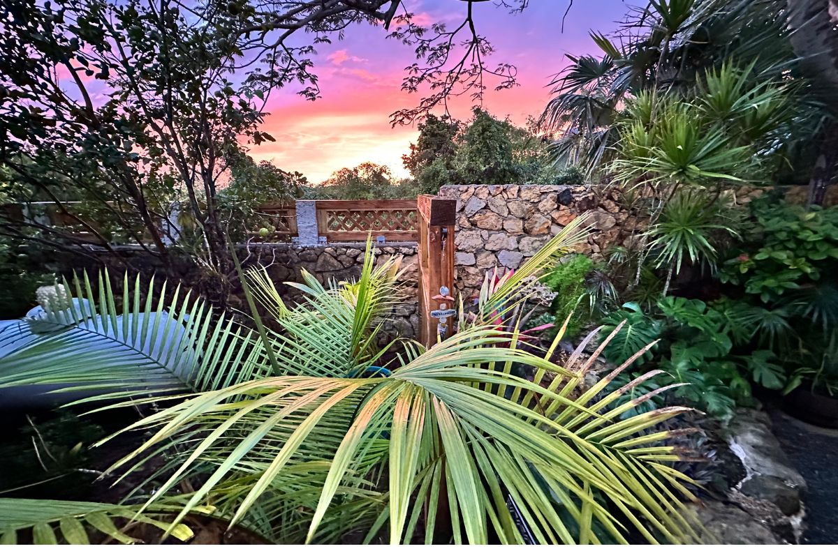 Secret Garden Sunset